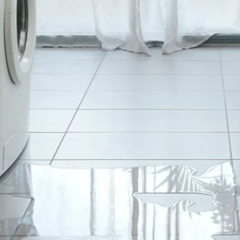 Appliance Leak Cleanup in Tiki Island, TX
