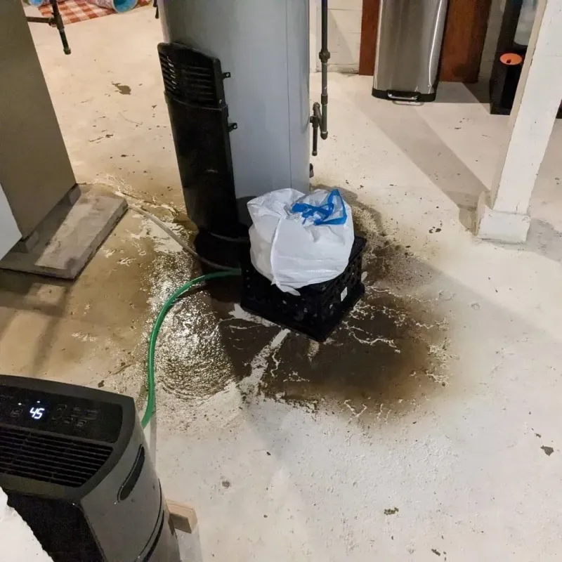 Sewage Backup Cleanup Service in Tiki Island, TX